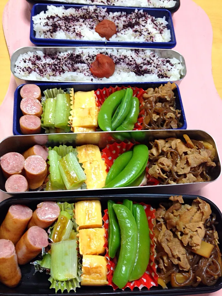 Snapdishの料理写真:豚肉とメンマの煮物 スナップえんどう ネギ焼き 玉子焼き ソーセージ弁当|Kumiko Kimuraさん