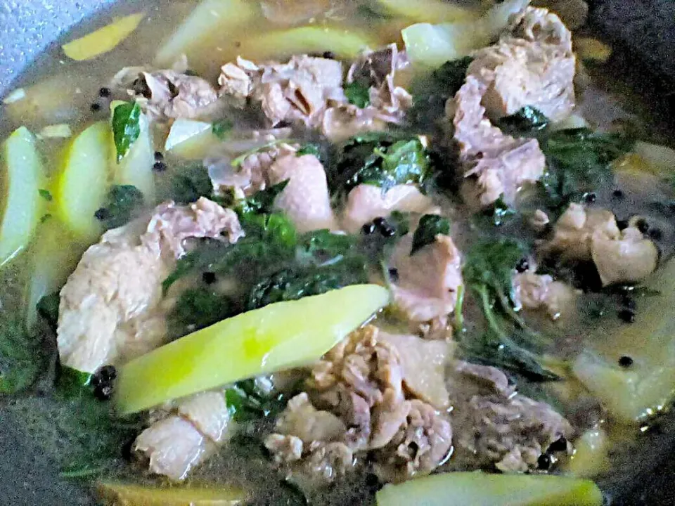 tinolang manok|porsさん