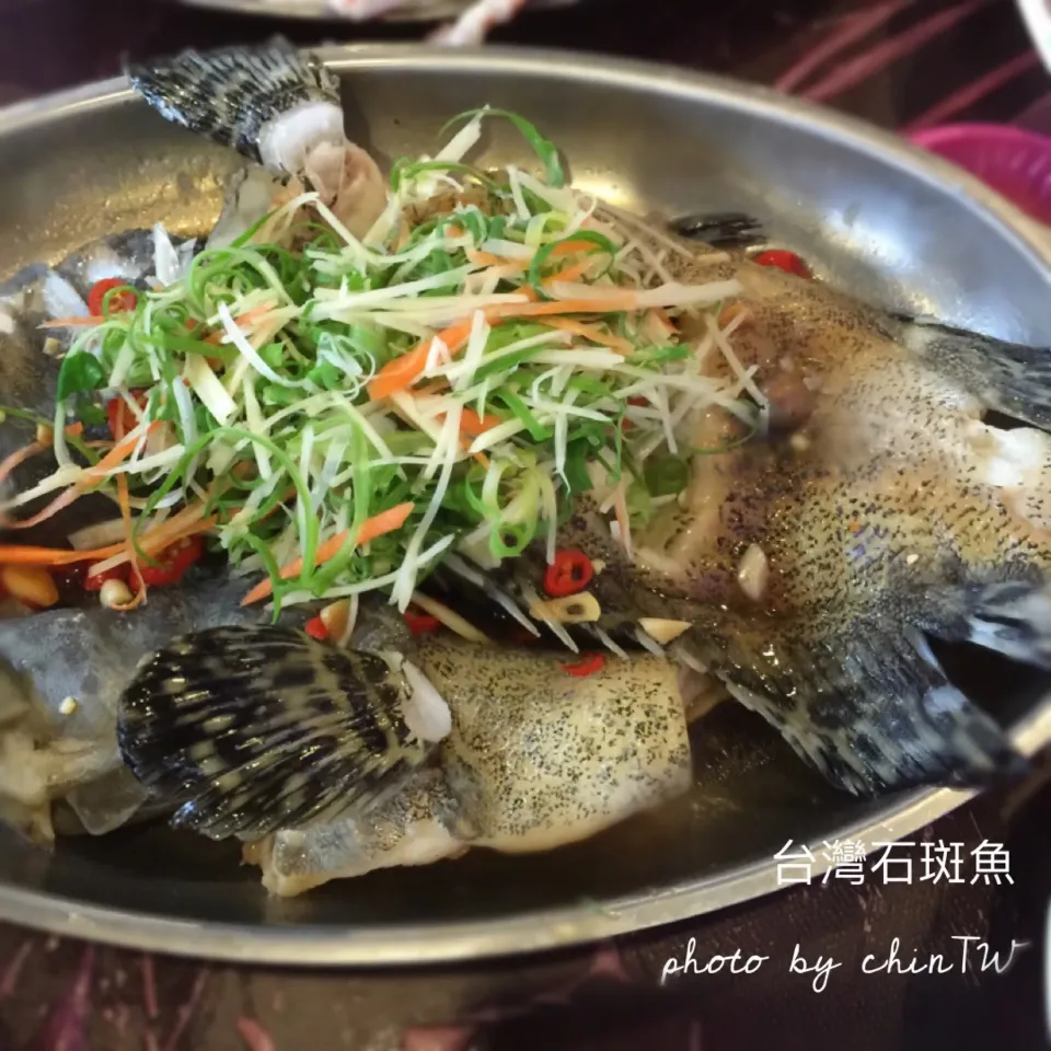 台灣石斑魚，肉質嫩Q彈。在富基漁港|手牽手一起過好日子。さん