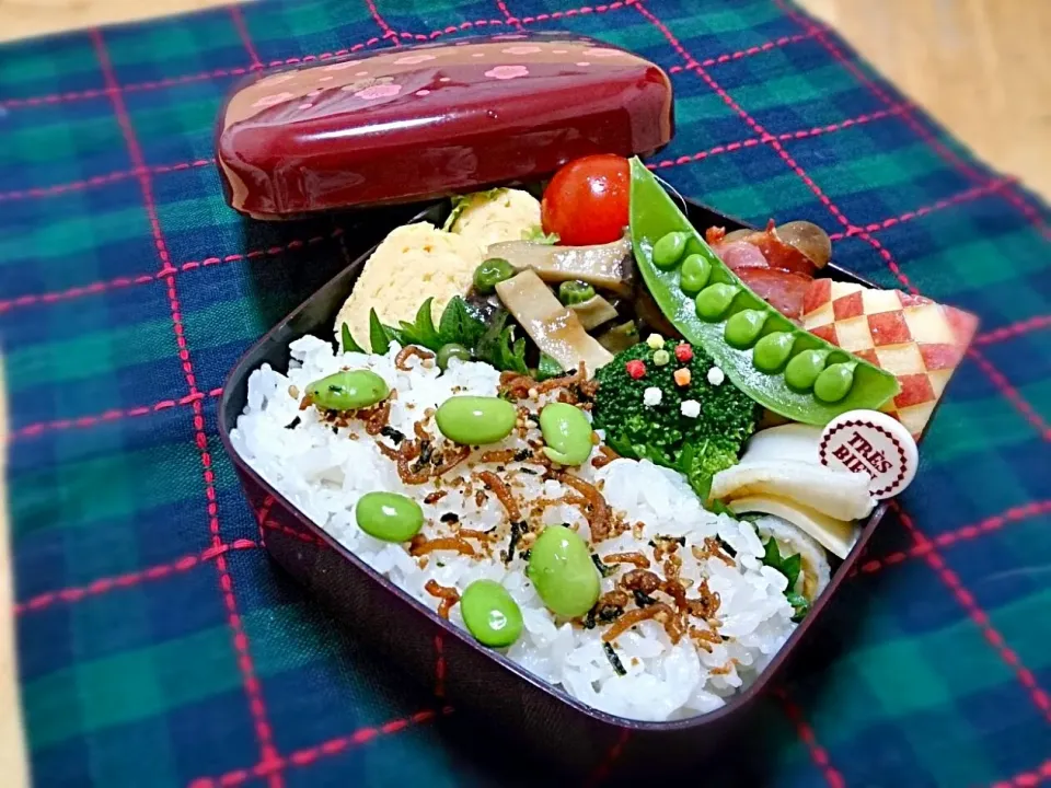 鶏と茄子の甘酢あん弁当。|Cat Miroさん