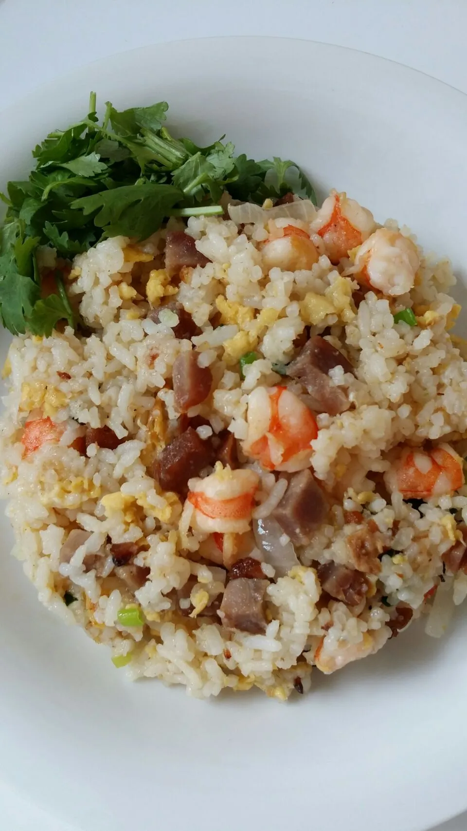 My Colourful Fried Rice|Jennifer Yapさん