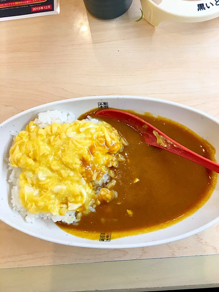 Snapdishの料理写真:物足りなかったので「ふわとろ玉子カレー」を追加|takamuraさん