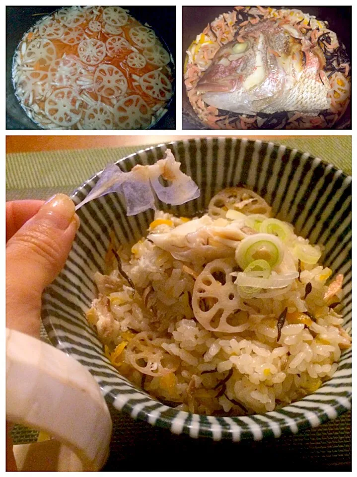 Snapdishの料理写真:rice cooked w/shredded sea bream🍚鯛のあらで五目鯛飯|🌈Ami🍻さん