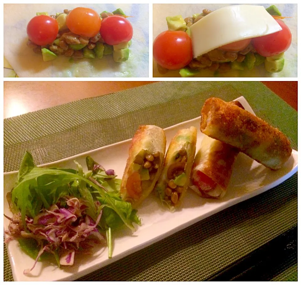 Natto avocado tomato cheese spring roll❗️ｱﾎﾞｶﾄﾞ,納豆,ﾄﾏﾄ&ﾁｰｽﾞ春巻き|🌈Ami🍻さん