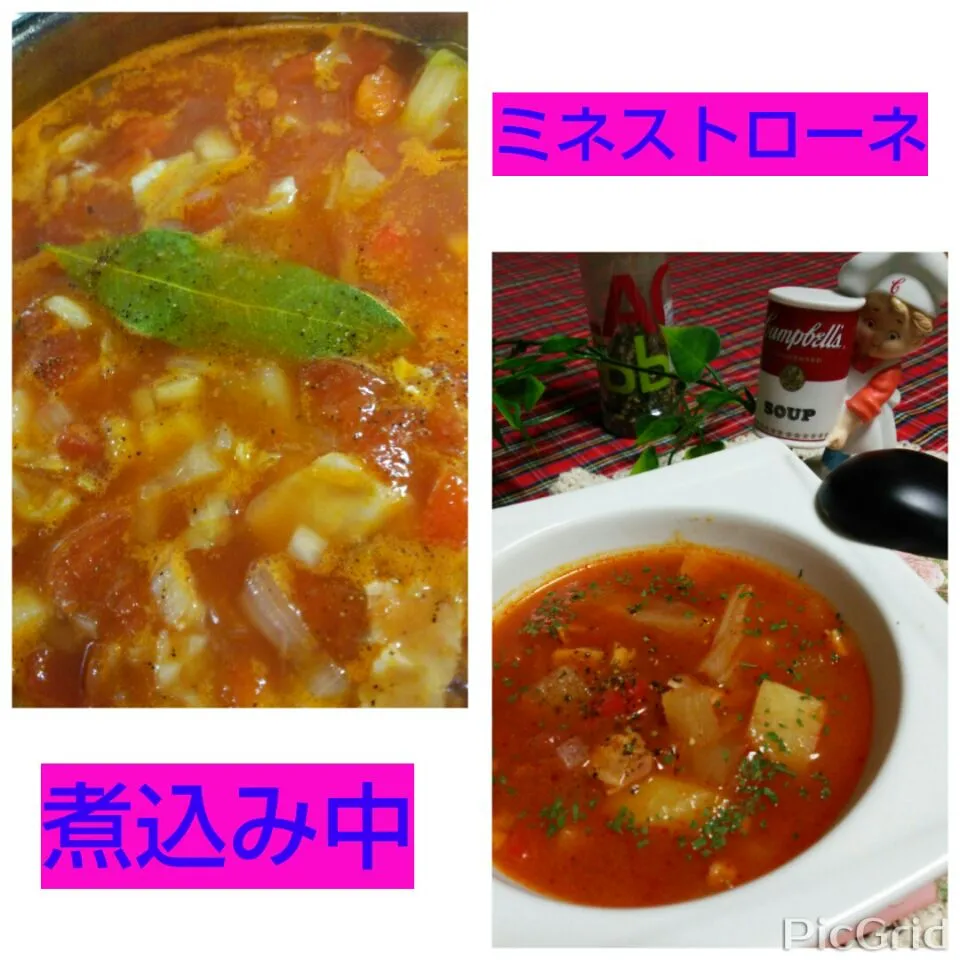 Snapdishの料理写真:ミネストローネ～soup～🎵|☆Yumi☆さん