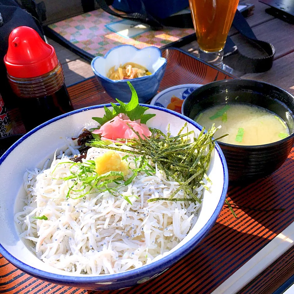 しらす丼定食|ヒロリンさん