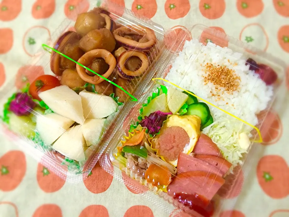 Snapdishの料理写真:お弁当|Naoco Sakacさん