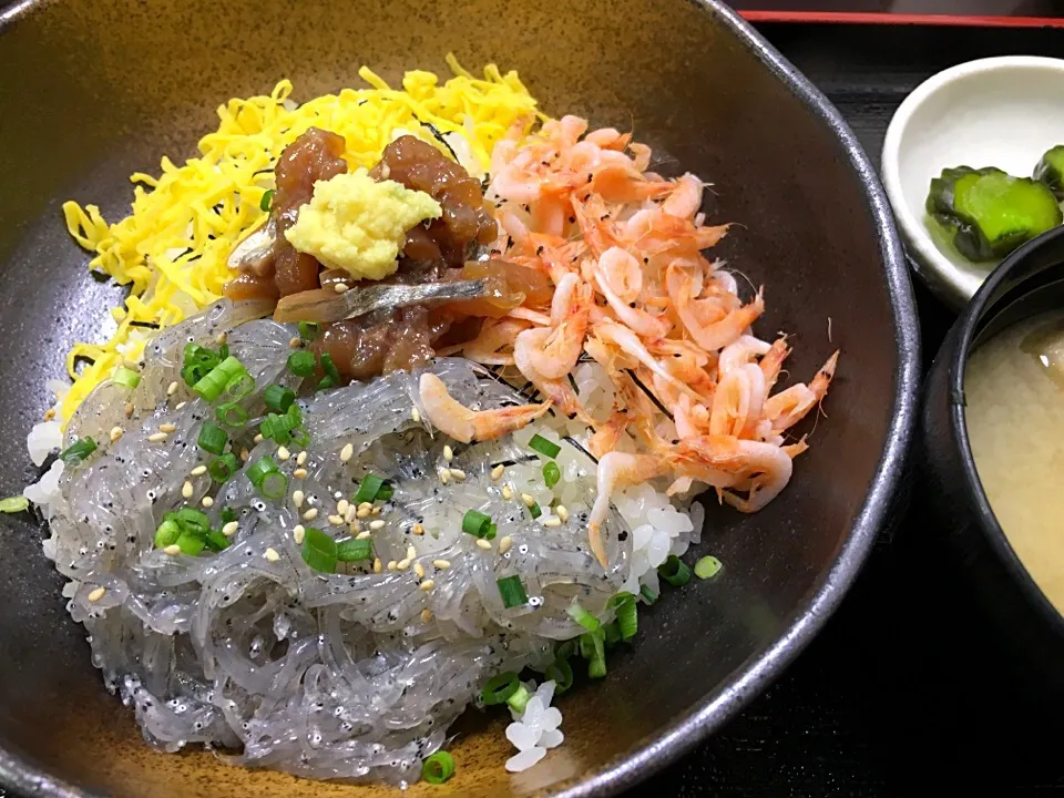 朝潮丼（生しらす・桜えび・アジの漬け）@江ノ島|カリー仙人さん