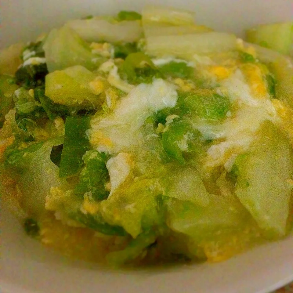 bowl of cabbage and green onion|Koichiさん