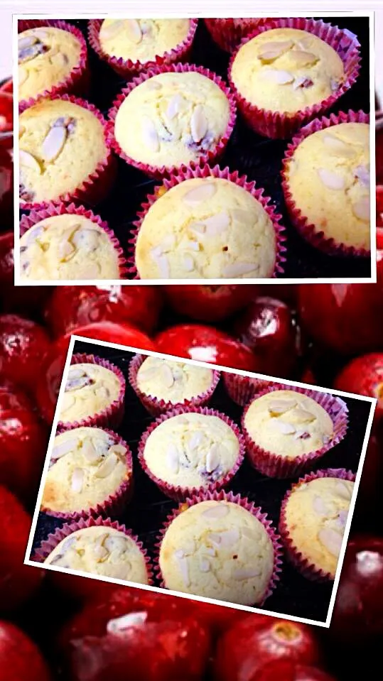 Cranberries Orange Cup Cakes|Tari's Kitchenさん