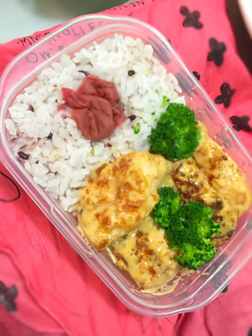 鶏むね肉オイマヨ弁当|chiryyyさん