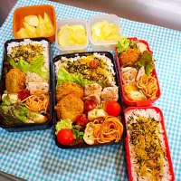 Snapdishの料理写真:今日のお弁当|山際弥生さん