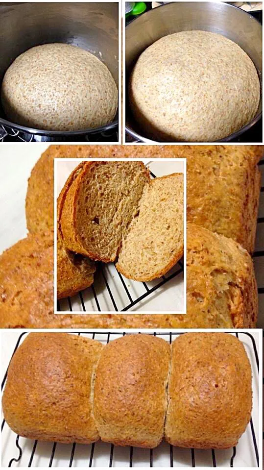 Wholemeal Bread Loaf ☕️⛅️|Tari's Kitchenさん