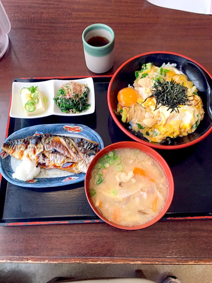 Snapdishの料理写真:仕事が早く終わり今日は昼にザめしやに
親子丼と生卵/丼にハマりぱなし
豚汁
鯖塩焼きと豆腐ホーレン草|takamuraさん