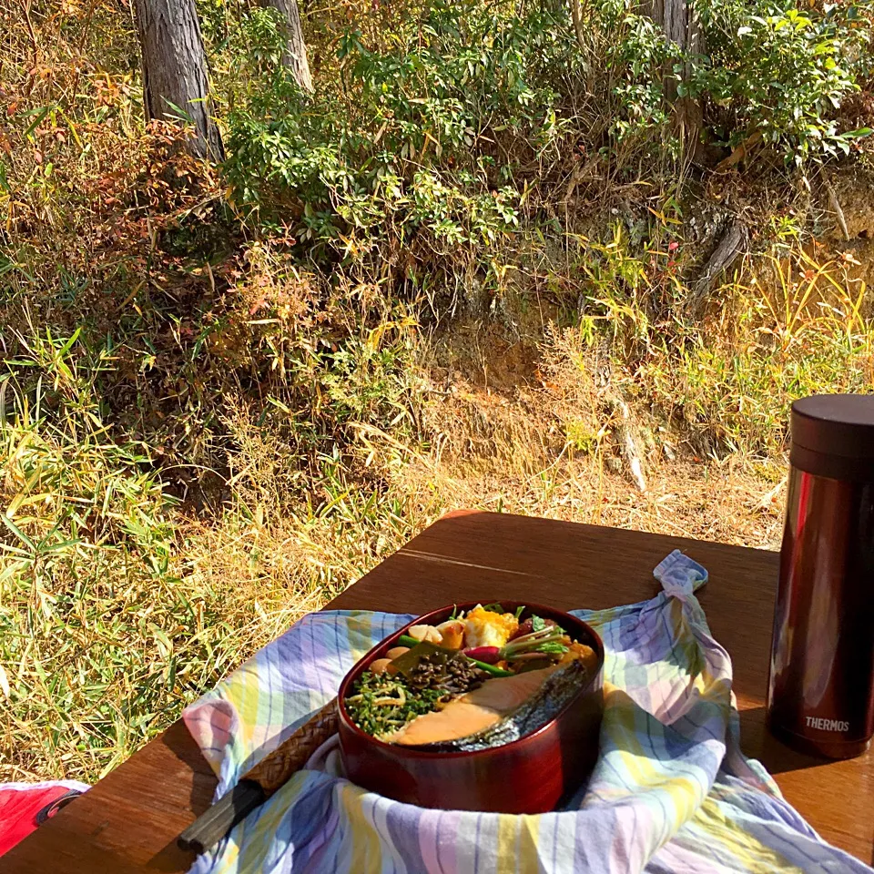 ピクニック・ランチ♬ (▰˘◡˘▰)☝︎|Yoshinobu Nakagawaさん