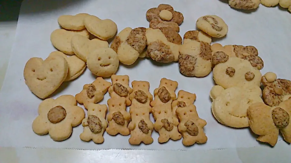 プレーン味とコーヒー味クッキー|あい(•ө•)♡さん