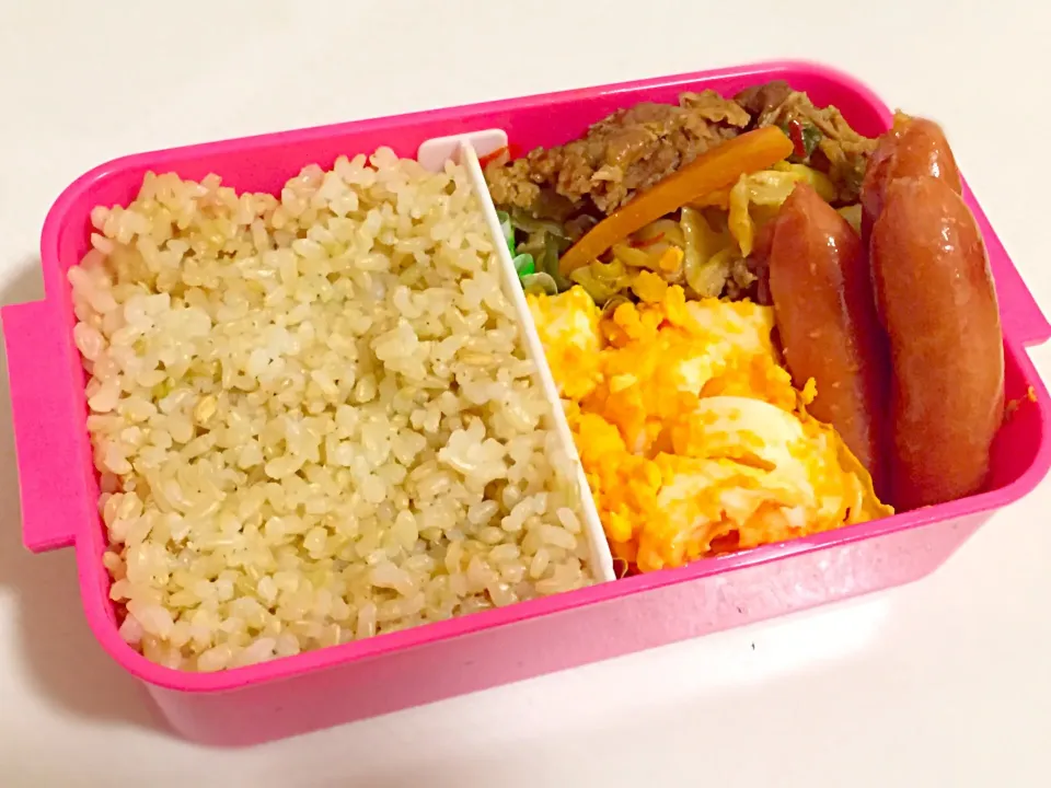 12/16のお弁当|しおり。さん