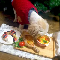 Snapdishの料理写真:犬のクリスマス|poteo3さん