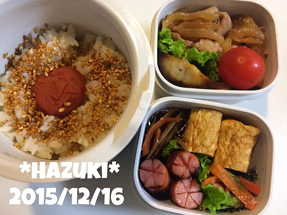 12月16日(水) 高校生息子弁当🍱🍱|Hazukiさん