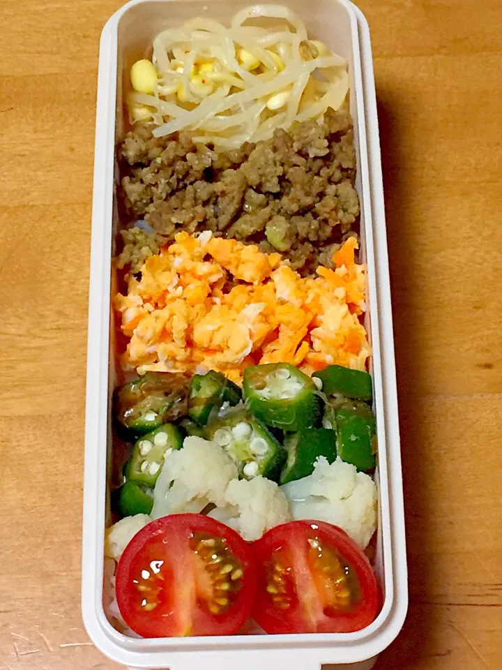 6色そぼろ丼弁当(*^^*)|sachiさん