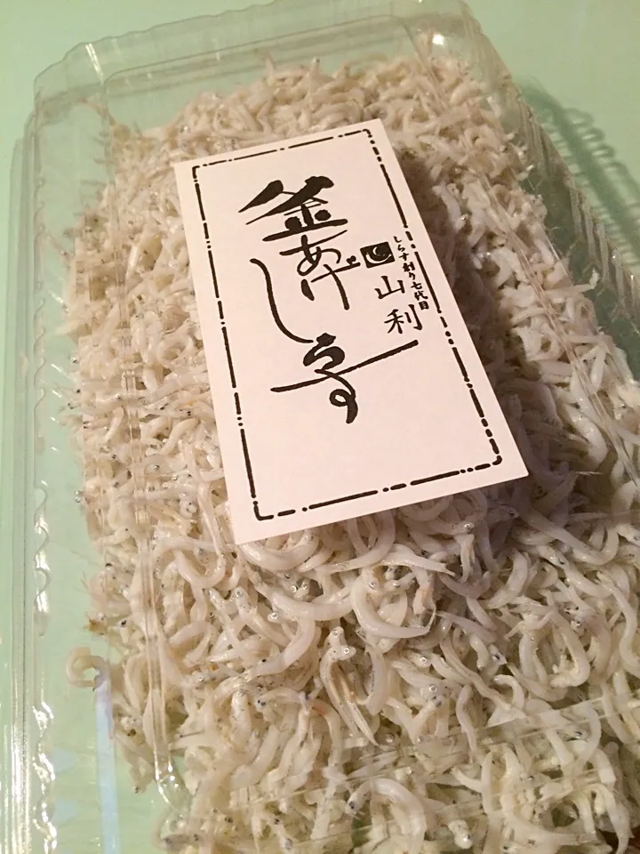 Fresh shirasu from wakayama|Nigelさん