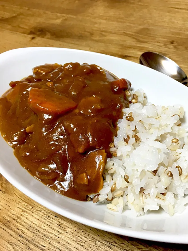 久々に箱の裏の作り方通り忠実に作ったバーモントカレー辛口。最後にニンニクとバターだけちょい足し。|エイコさん