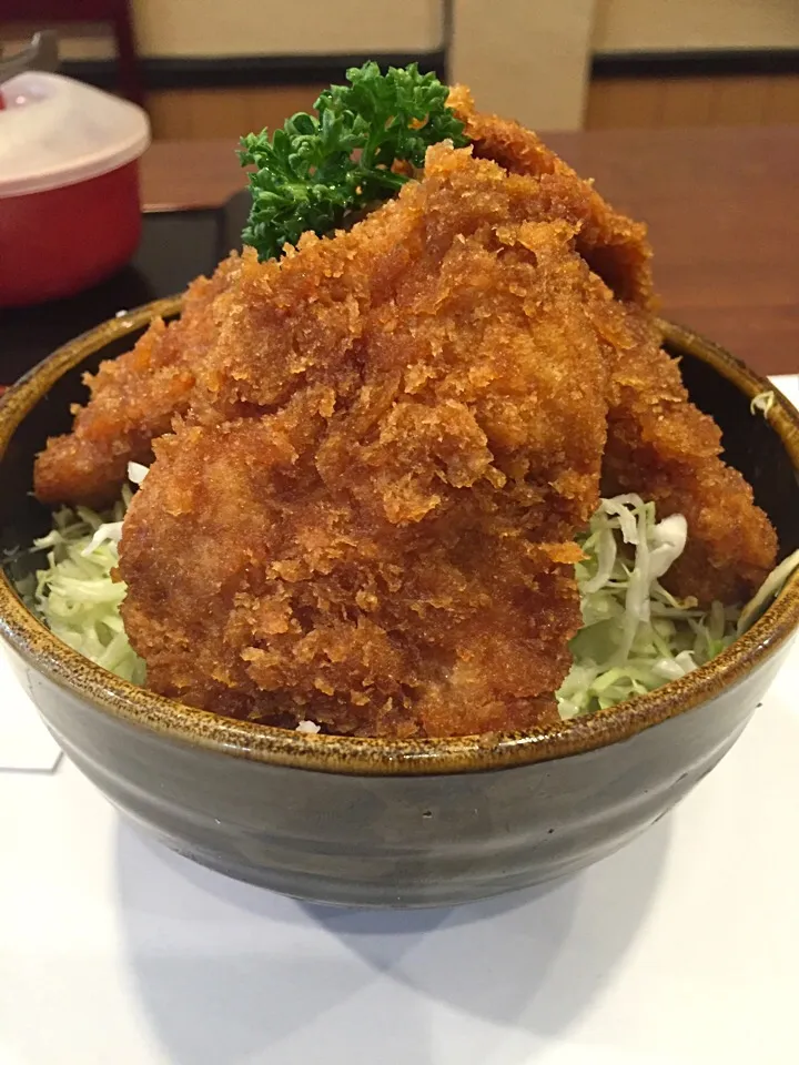 ソースかつ丼w|トッシ~さん