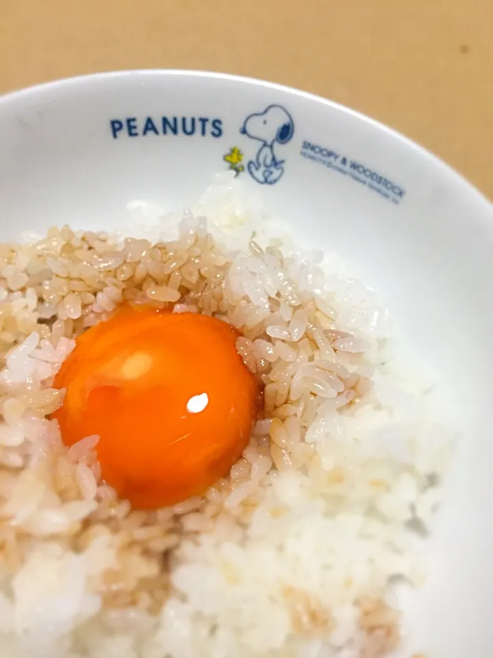 夜食に、冷凍醤油漬け卵かけごはん(^^)♪|ギムレットさん