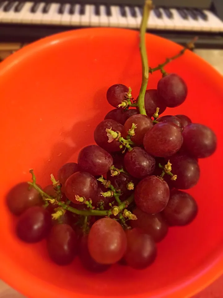 Grapes|Irina Motocさん