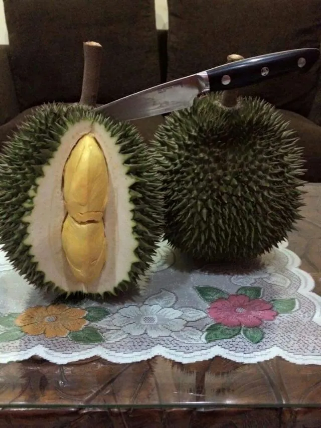 durian fruit|CHUENCHAIさん