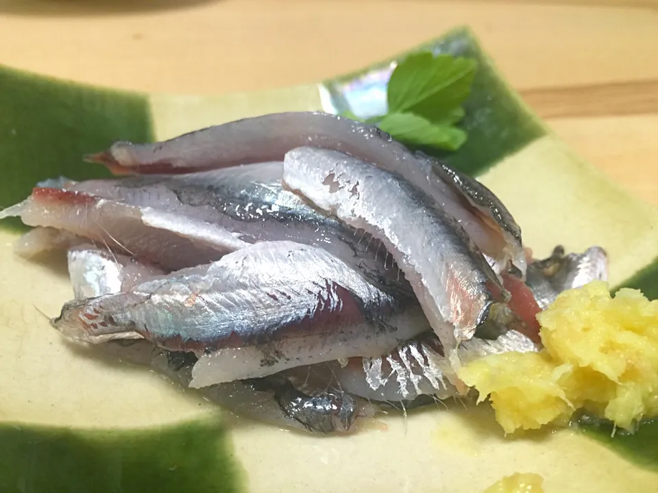 【釣】福岡県産カタクチイワシの刺身 七度洗えば鯛の味！|さくたろうさん