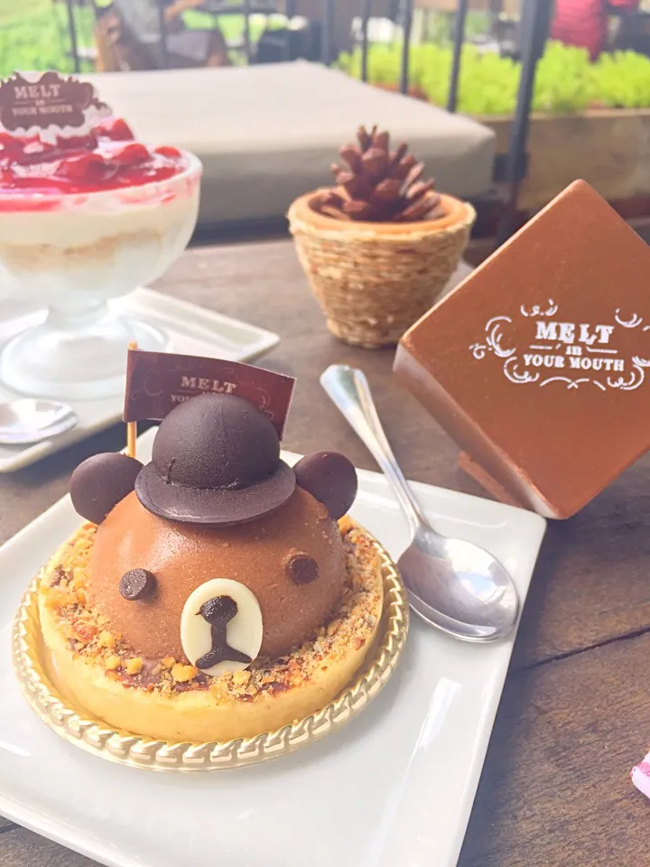 Snapdishの料理写真:Hazel nut choco bear cake|PhUnGさん