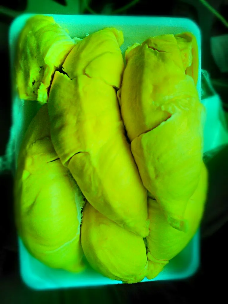 Snapdishの料理写真:indonesia's montong durian|rosmaliahさん