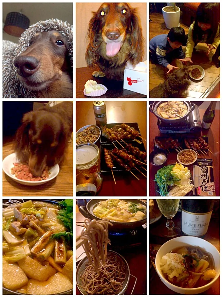 Today's Dinner🍴Buckwheat Noodles Chicken&Various mushrooms&Yakitori🍻♨鶏肉蕎麦鍋･焼鳥(タレ)|🌈Ami🍻さん