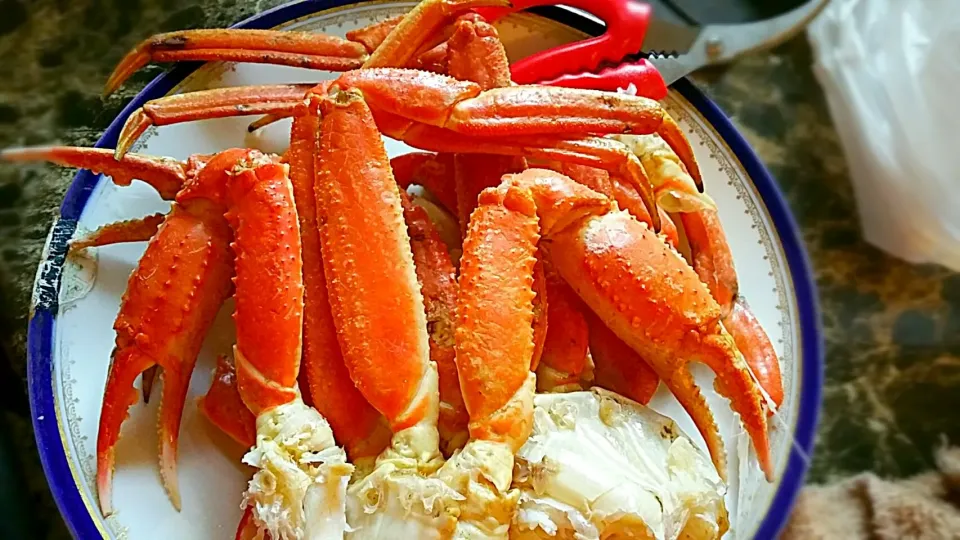 Snow crab|Molina home cooking.さん