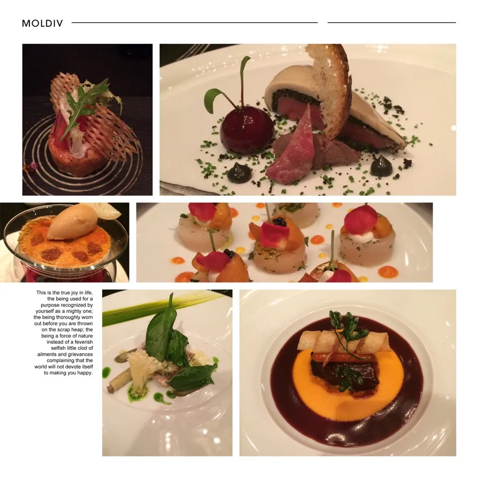 Joel Robuchon dinner|pipiabaさん