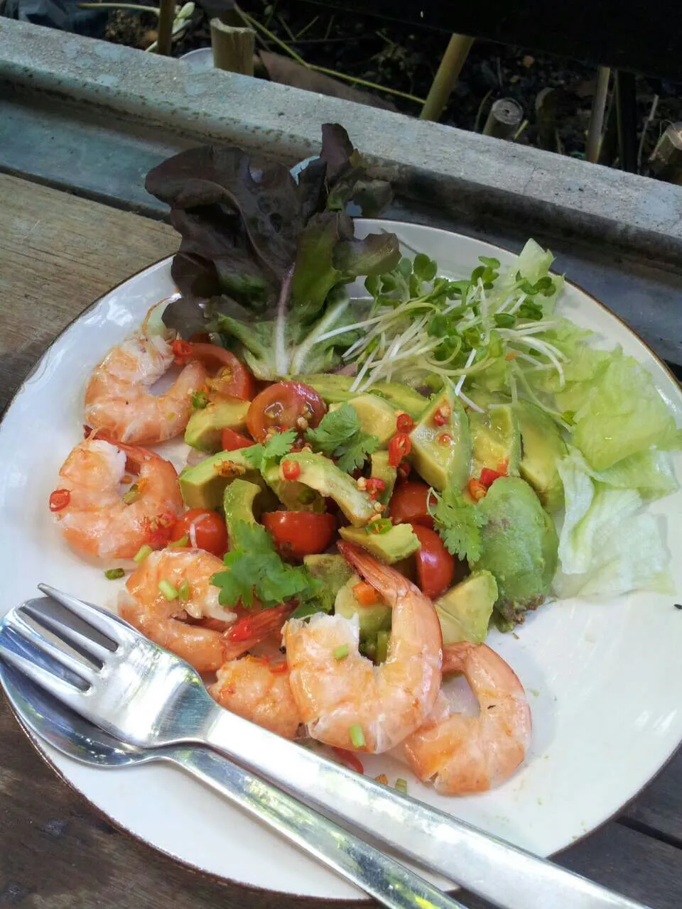 Avocado  spicy  salad  mix  shrimp|Kung Doratee Sculptureさん