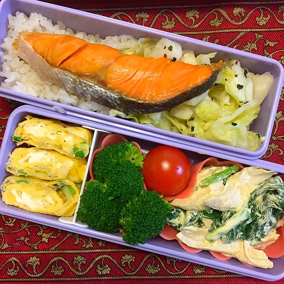 Snapdishの料理写真:どーんと甘塩鮭と、鶏ささみとほうれん草のカレーマヨ和え弁当|もえさん