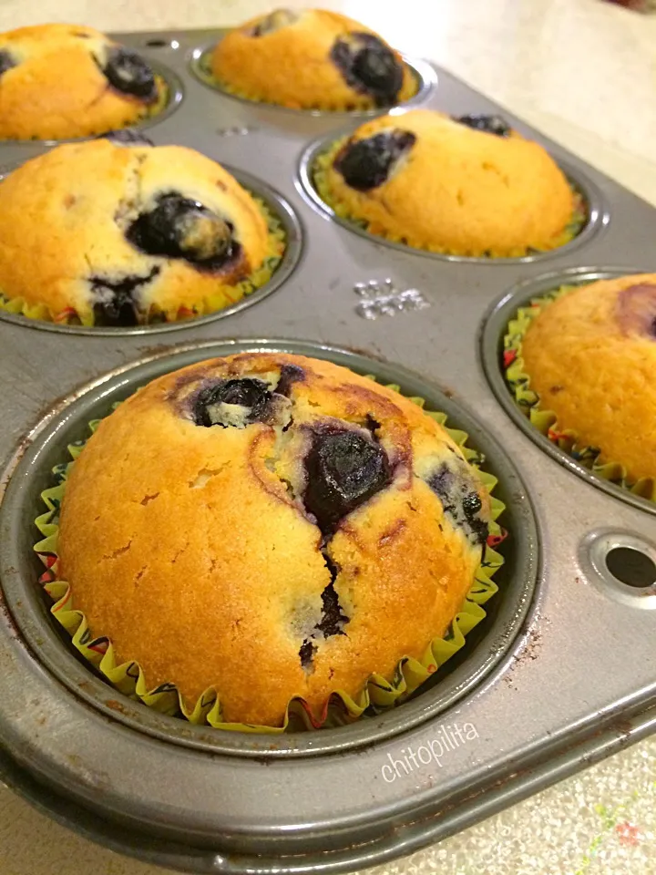 Blueberry muffins|chitopilitaさん