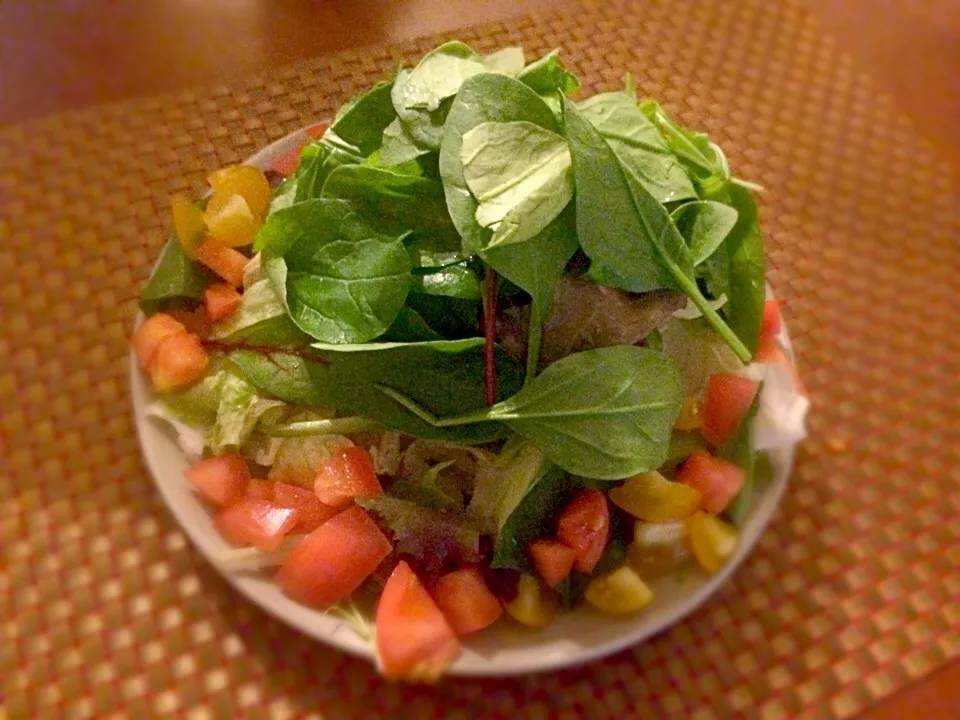 Snapdishの料理写真:Today's Salad🌿切って盛るだけサラダ|🌈Ami🍻さん