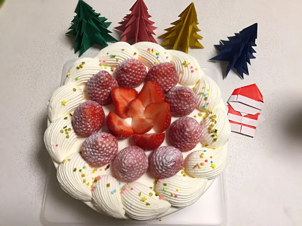 Snapdishの料理写真:クリスマスケーキ|yurikaさん