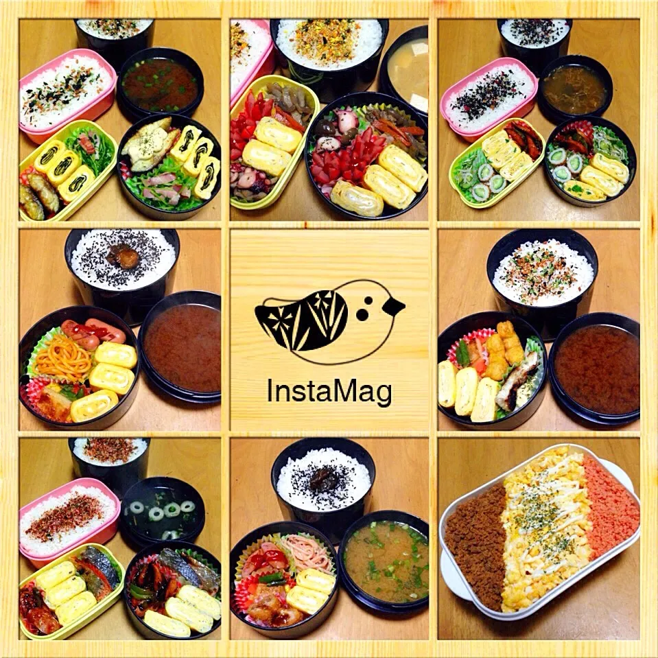 旦那さんとお姉ちゃんのお弁当☆ 2015.12.16〜12.24|*seiko*さん