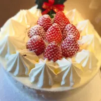 クリスマスケーキ|よりさん