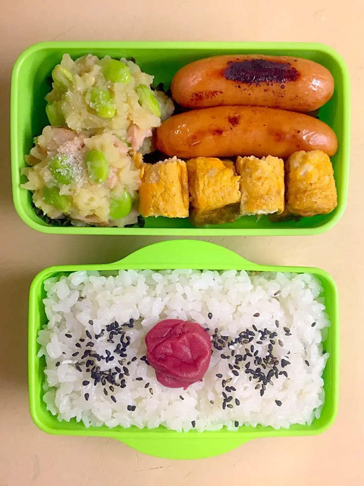 Snapdishの料理写真:お弁当／男子中学生|nayutaさん