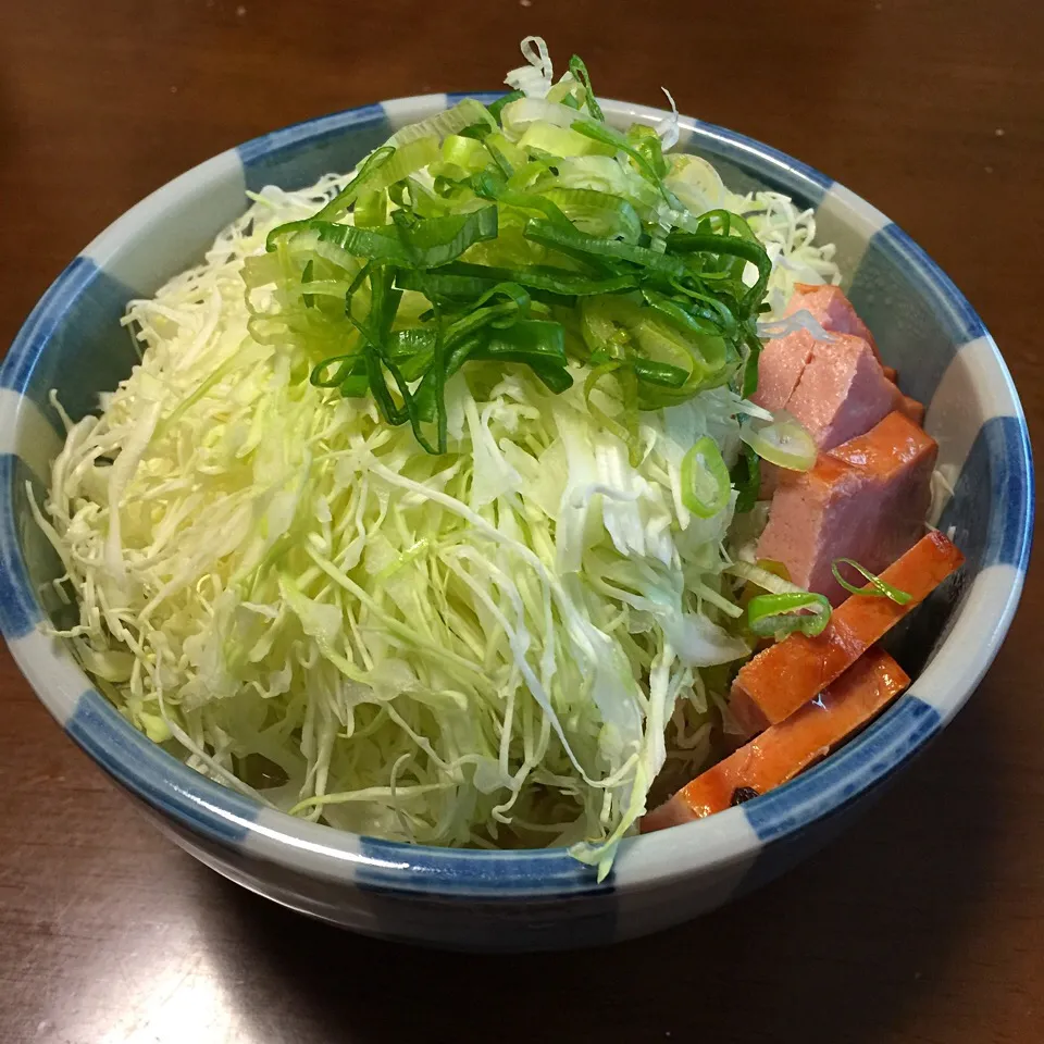 鹿児島とんこつラーメン キャベツ山盛り|愛ペガさん