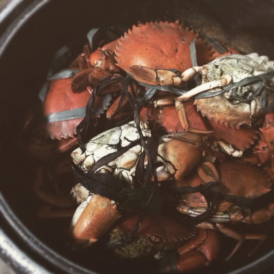 Snapdishの料理写真:🦀アリマンゴ蟹🦀in Philippines🇵🇭|Imanaka Yukikoさん