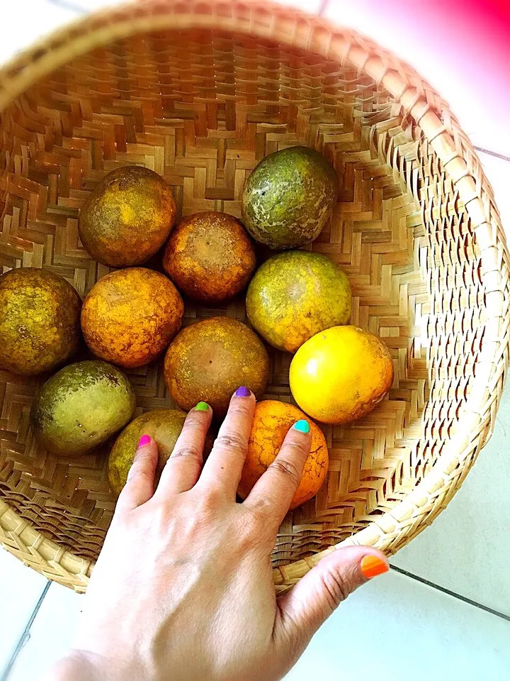 Basket from Local Market in Siemreap Cambodia Good and Cheap|jirawanさん