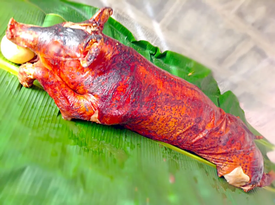 LecHoN (RoasTeD PiG)🇵🇭🇵🇭|GeMzKiTchさん