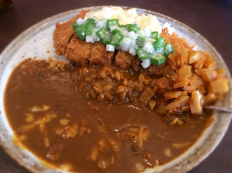 年内にもう一度食べたいシリーズ！
ラストはCoCo壱番屋😋✌️❤️|アライさんさん