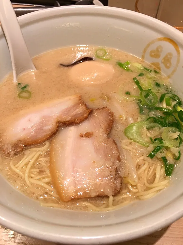 とんこつ  煮卵 ラーメン|tadaroさん